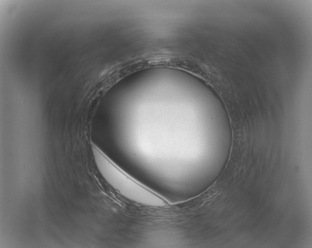 X0000062691445200512211120