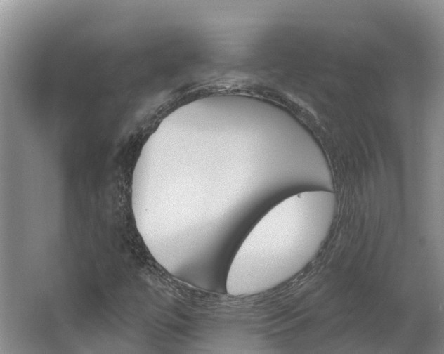 X0000062691447200512211120