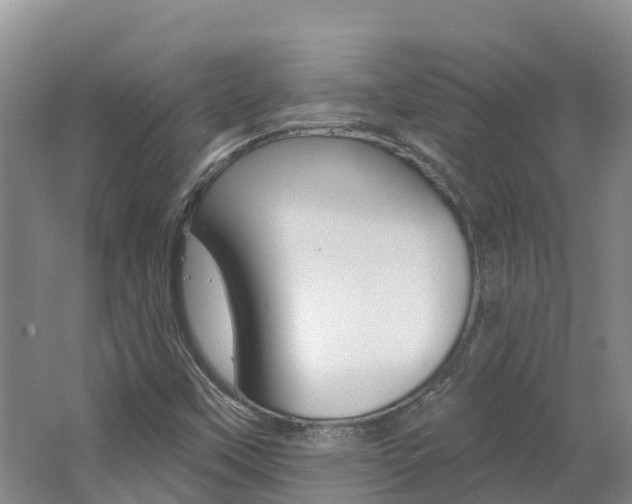 X0000062691451200512211119