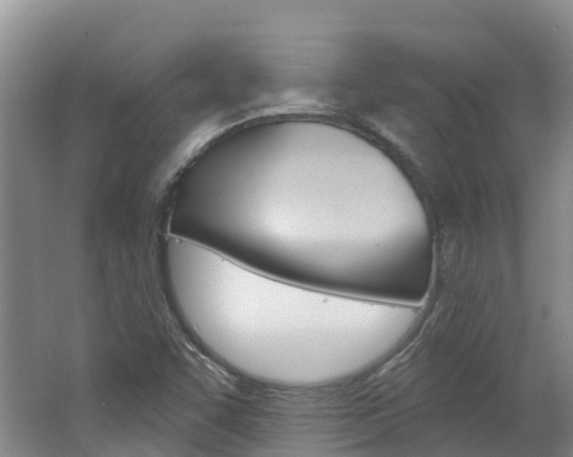 X0000062691455200512211119