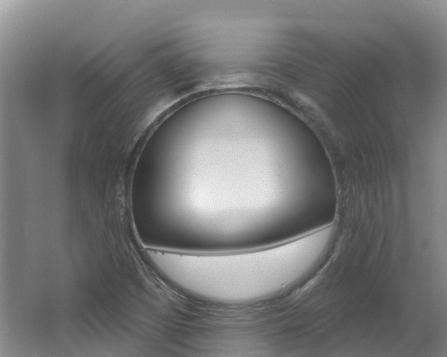 X0000062691457200512211119