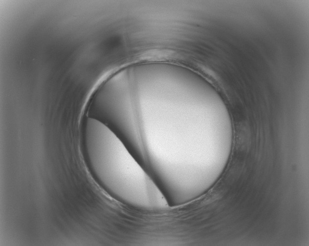 X0000062691467200512211119