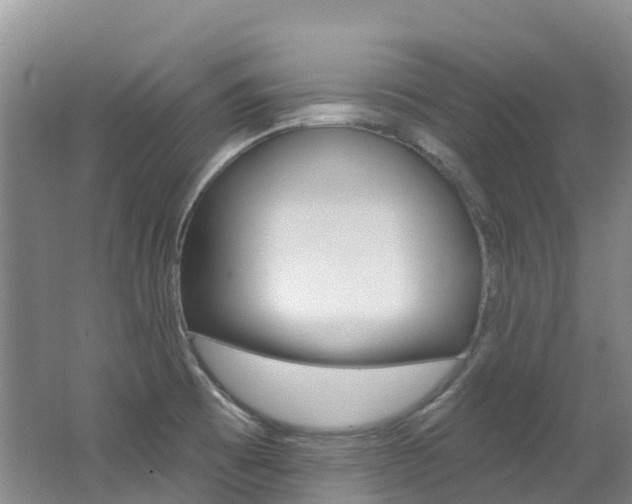 X0000062691473200512211119