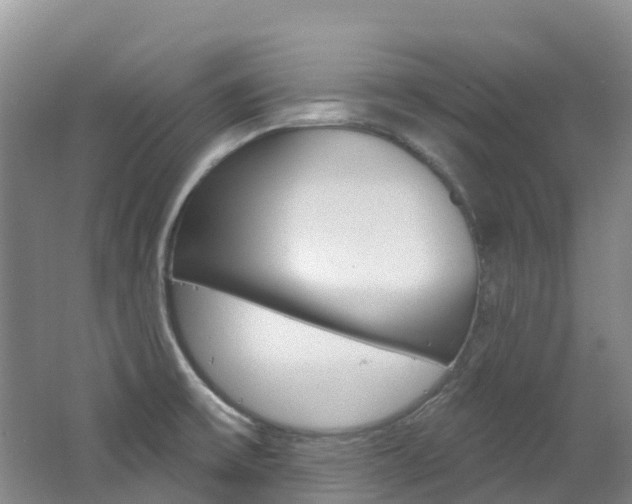 X0000062691475200512211119