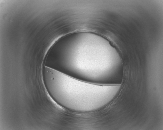 X0000062691476200512211119