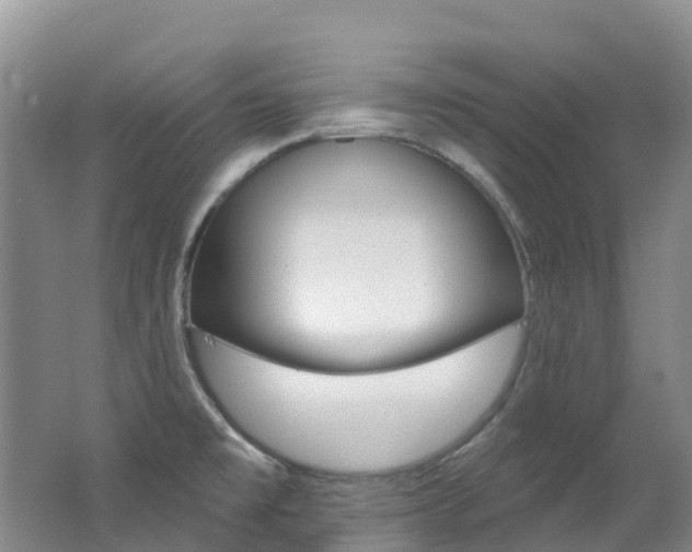 X0000062691477200512211119