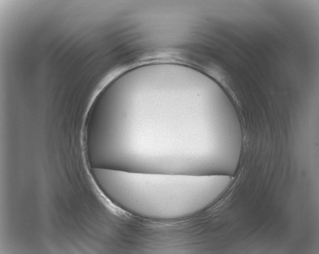 X0000062691482200512211119