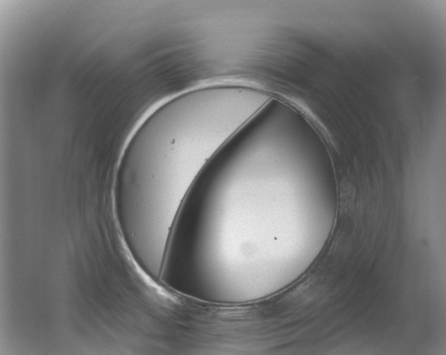 X0000062691484200512211119