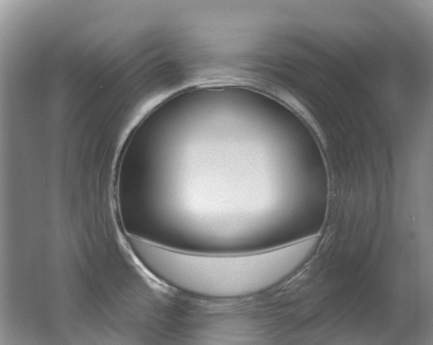 X0000062691485200512211119