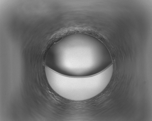 X0000062691492200512211118
