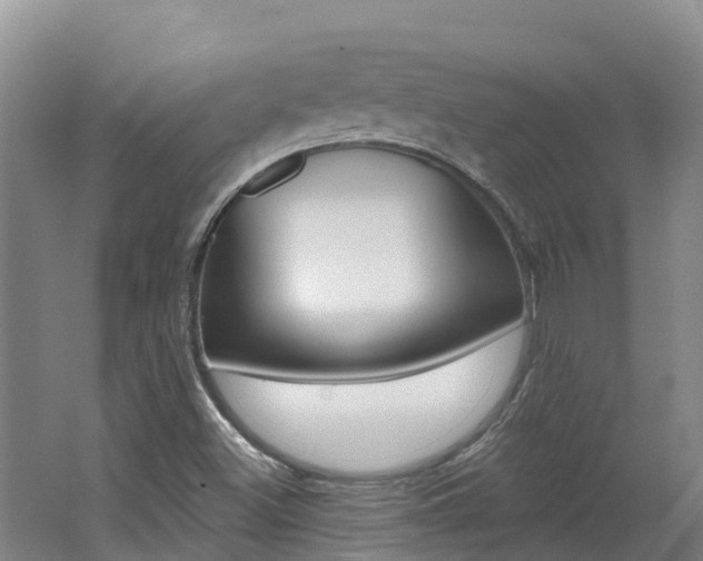 X0000062691500200512211118