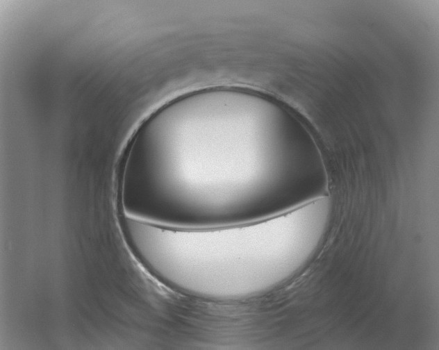 X0000062691508200512211118