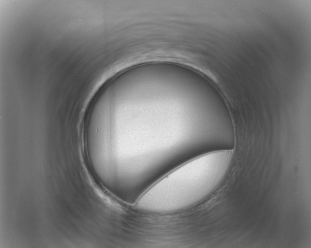 X0000062691515200512211118