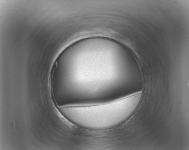 X0000062691516200512211118