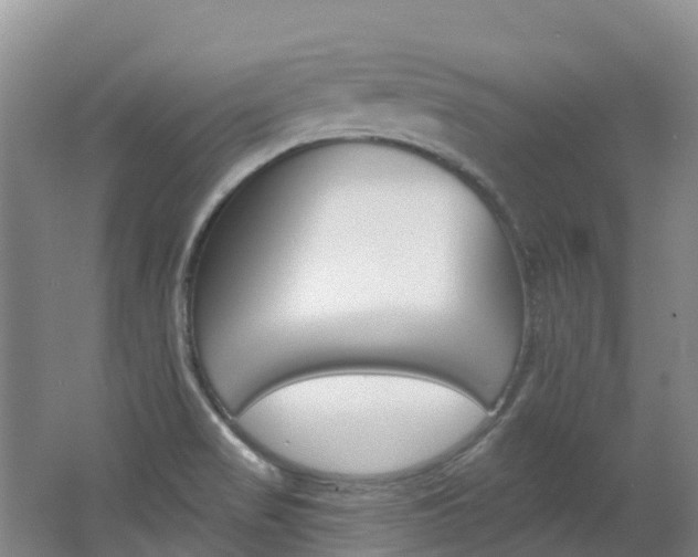 X0000062691517200512211118