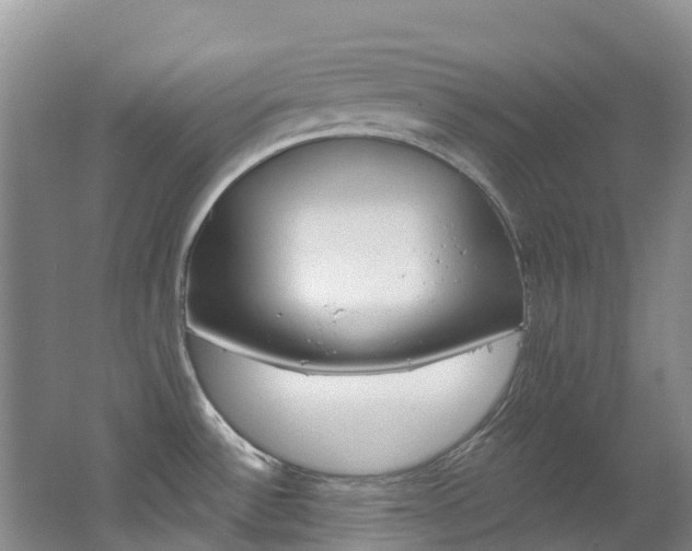 X0000062691532200512211119