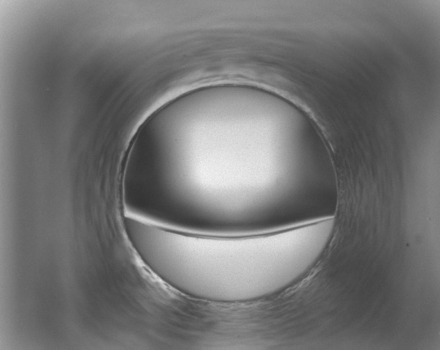 X0000062691534200512211119