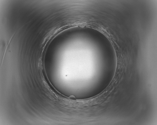 X0000062690002200512211448