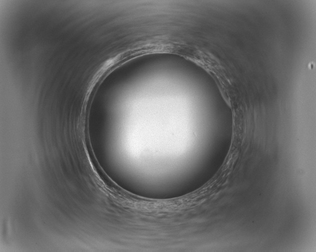 X0000062690003200512211448