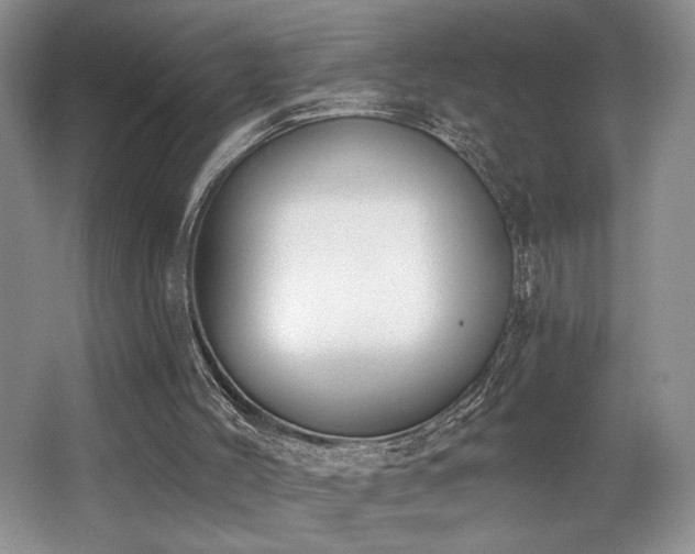 X0000062690004200512211448