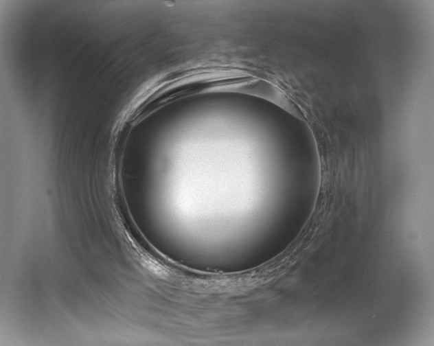 X0000062690005200512211448