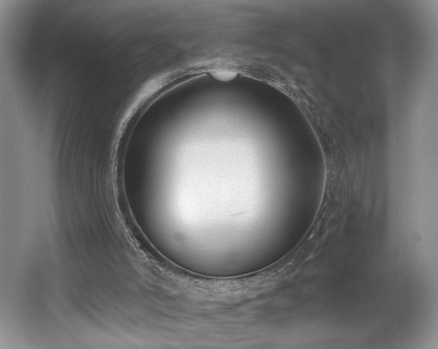 X0000062690006200512211448