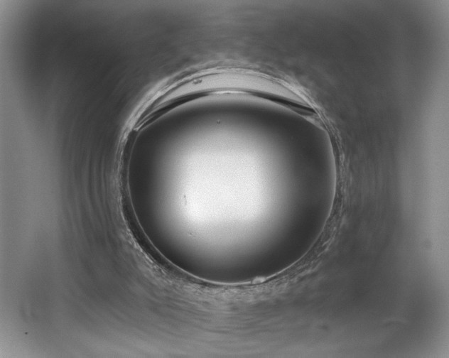 X0000062690007200512211448