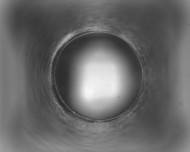 X0000062690008200512211448