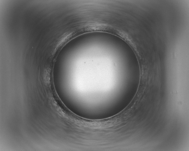X0000062690010200512211448