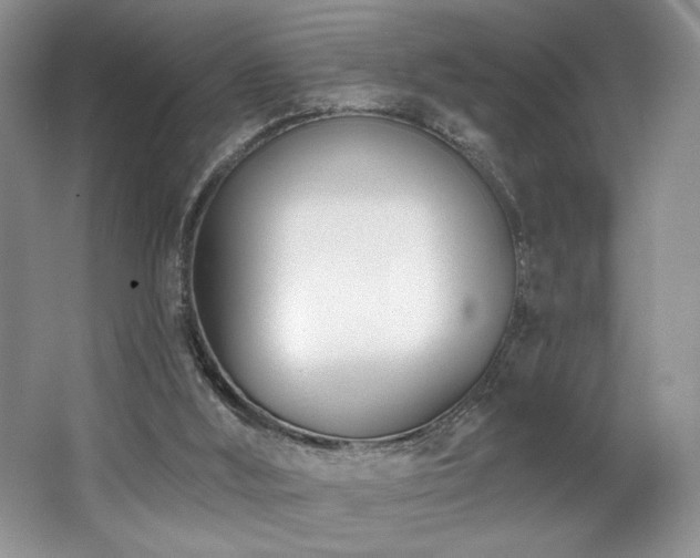 X0000062690012200512211448