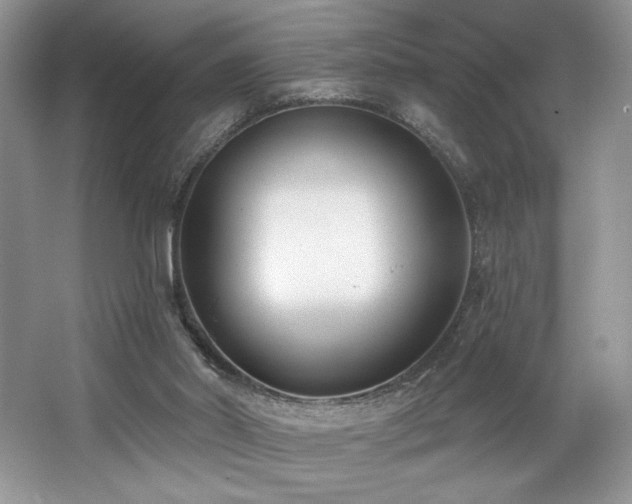 X0000062690014200512211448