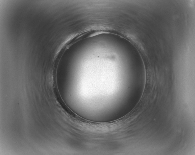 X0000062690015200512211448
