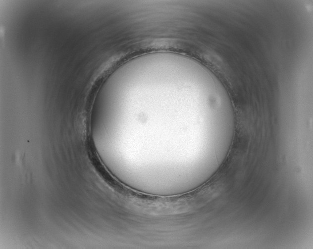 X0000062690016200512211448