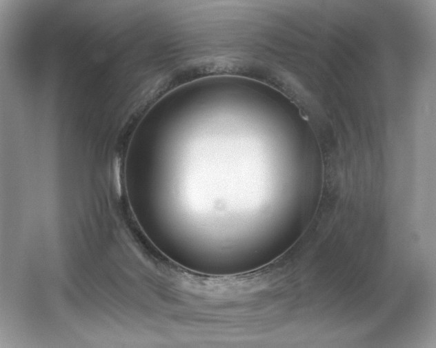 X0000062690022200512211448