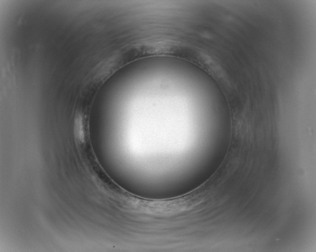X0000062690026200512211448