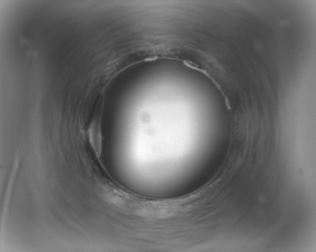 X0000062690033200512211448