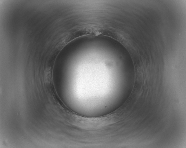 X0000062690034200512211448