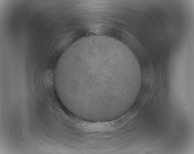 X0000062690036200512211448