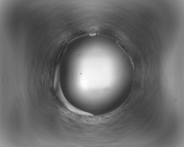 X0000062690037200512211448