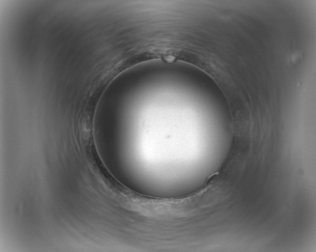 X0000062690040200512211448