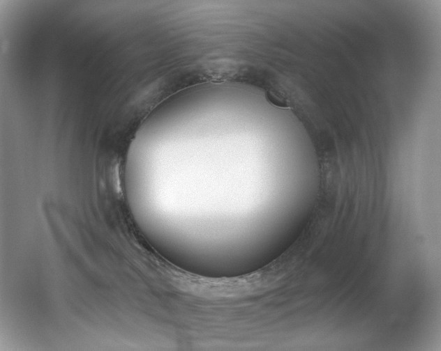 X0000062690042200512211448