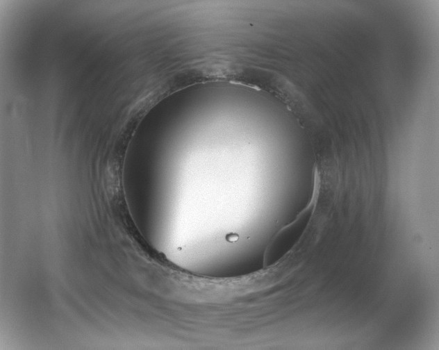 X0000062690043200512211448