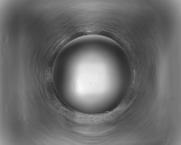 X0000062690048200512211448