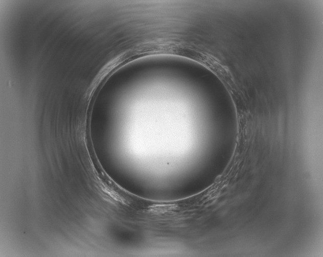 X0000062690051200512211447