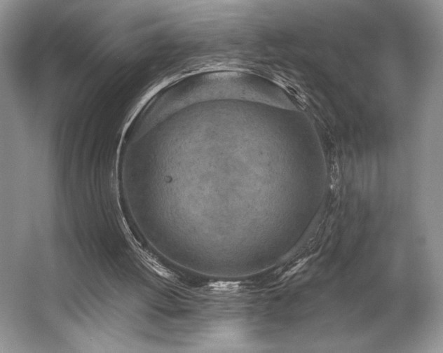 X0000062690052200512211447