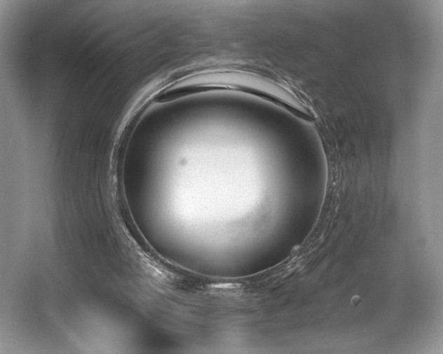X0000062690053200512211447