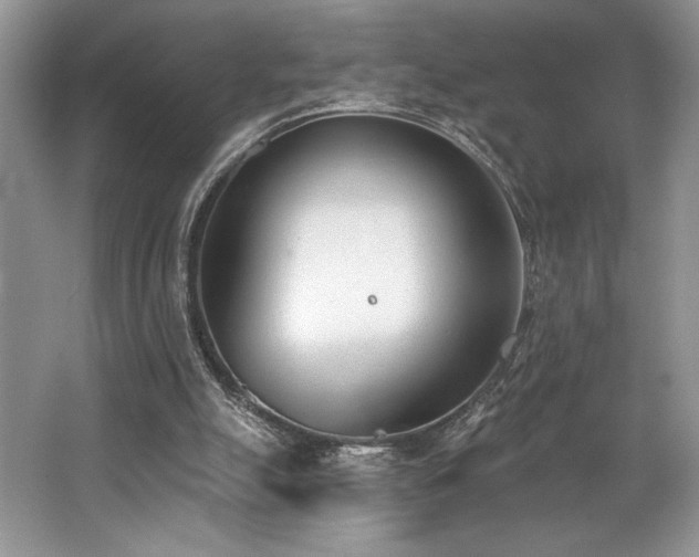 X0000062690055200512211447