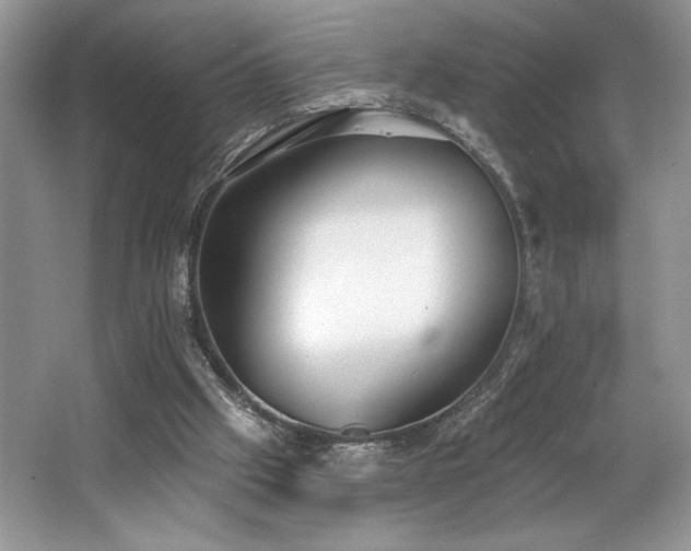 X0000062690057200512211447