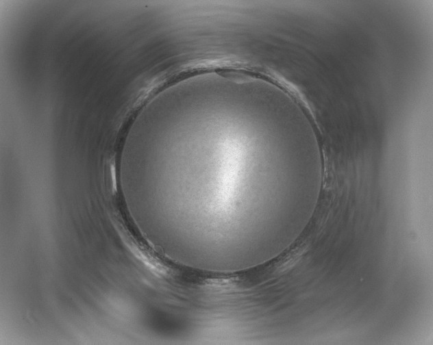 X0000062690061200512211447