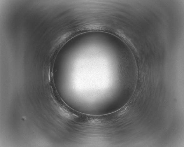 X0000062690062200512211447